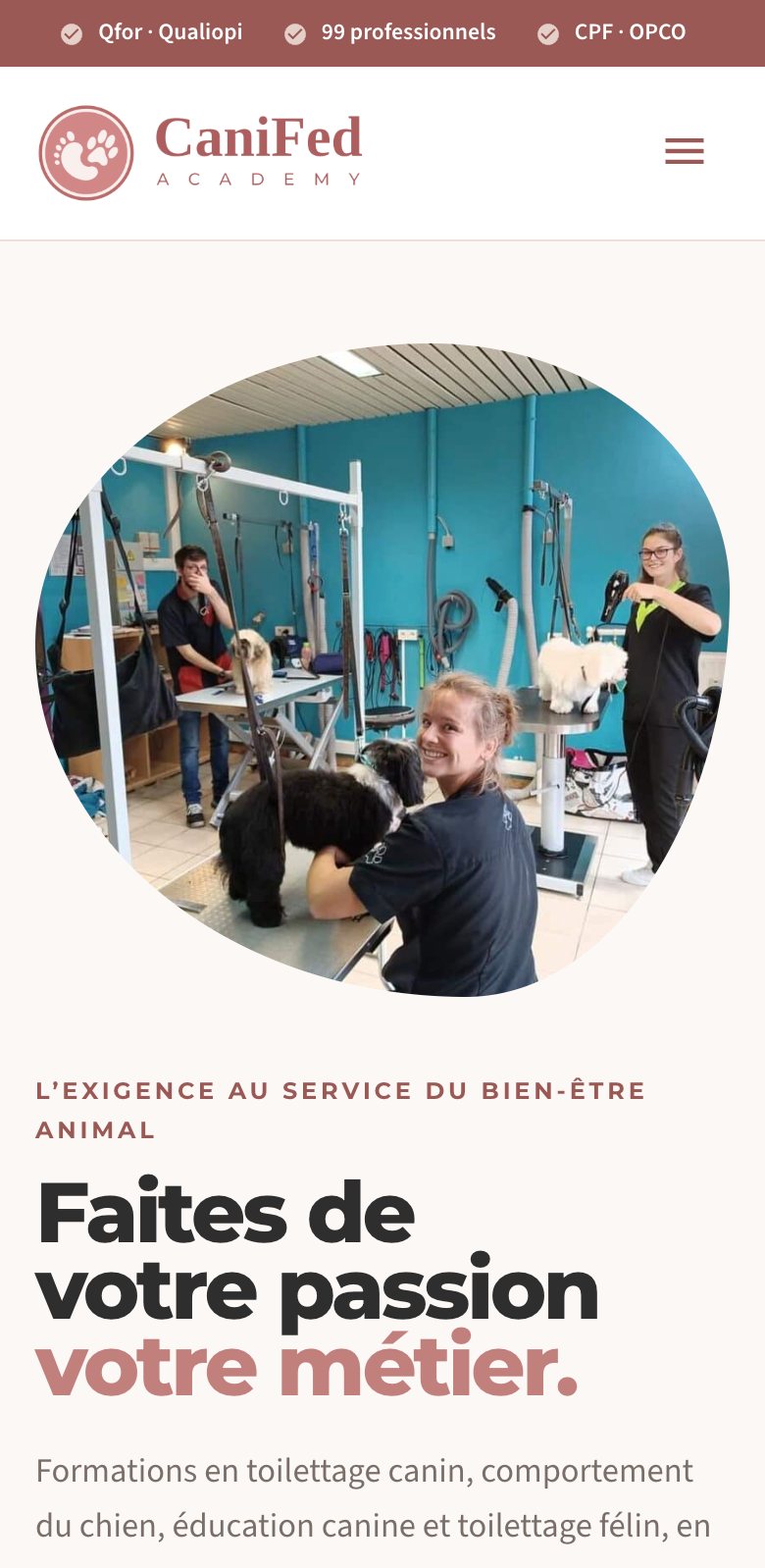Page d’accueil de Canifed sur mobile
