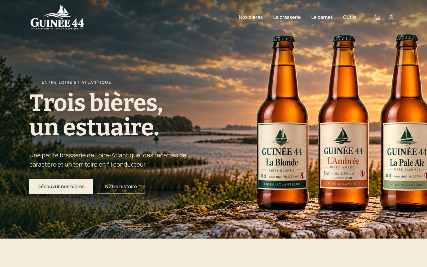 Page d’accueil du site Guinée 44