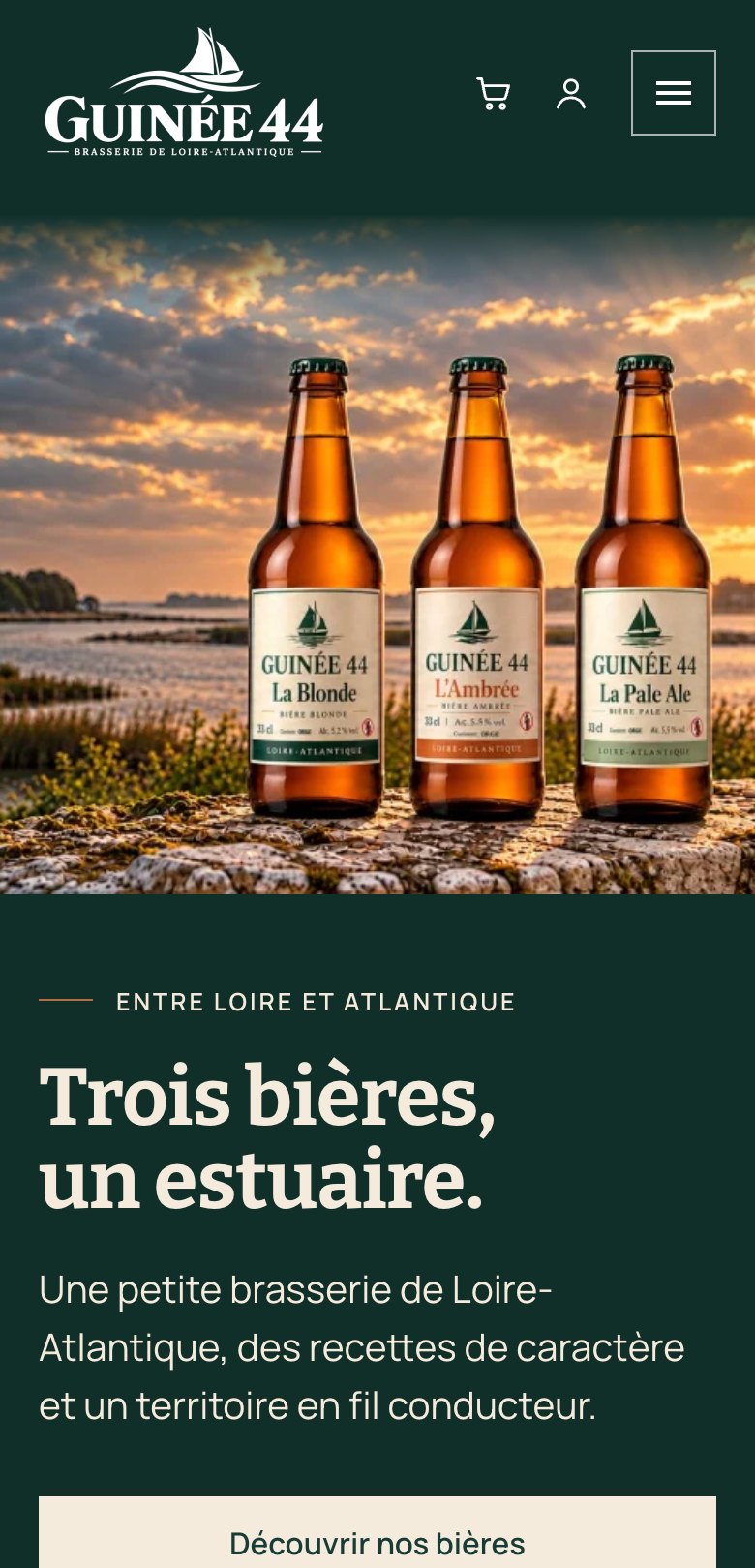 Page d’accueil du site Guinée 44 sur mobile