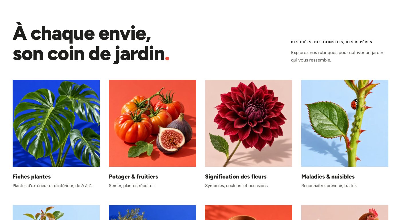 Les rubriques de Ma Petite Jardinerie : fiches plantes, potager, signification des fleurs, maladies